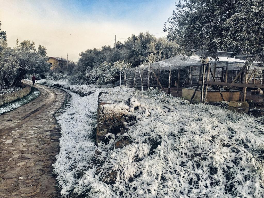 הוילה Naro Coscio Di Badia מראה חיצוני תמונה